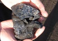 Thermal/steam coal from Mongolia