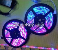 3528 RGB LED decoration flexible strip