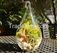 #1028 - Plant Terrarium Glass