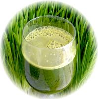 Wheat grass powder - 100% Organic