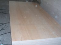 Pine Plywood