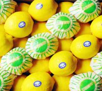 Eureka Fresh Lemon
