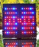 LED Grow Light