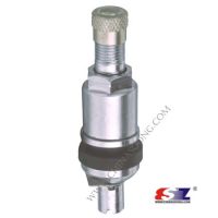 clamp-in tubeless valve DC-G1