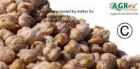 Kabuli Chick Peas