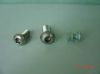 Stainless Steel Button Head Torx Screws