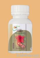 Slimming Capsules - Hoodia 650 mg