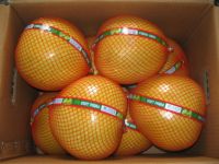 pomelo