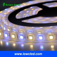 Ip20 Ip65 Ip67 Ip68 Flexible Led Strip Light Fixtures And Water Proof 12v Led Strip Lighting Manufacturer In China