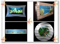 Wall Aquarium