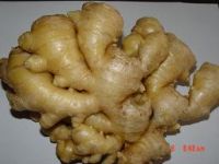 air-dried ginger