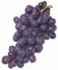 Grape Seed Oil