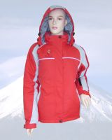 men's skiwear