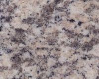 Tiger Skin White stone granite tile and slab