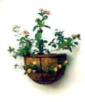 Garden Planting, Hanging Coir Basket