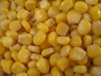 Sweet Corn Kernels ( Frozen )
