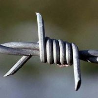 barbed wire