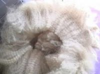 https://jp.tradekey.com/product_view/Alpaca-And-Llama-Raw-Fleece-877850.html