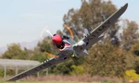 New RC Warbird P40