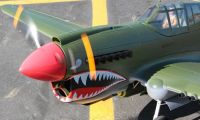 High scale Rc plane Warbird P40