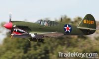 P40 RC model toy