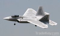 F22 rc plane