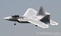 F22 rc toy-exciting airplane toy