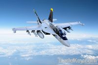 F-18 rc scale aircraft