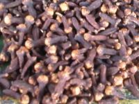 Clove from Indonesia