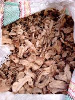 Dried Galangal from Indonesia