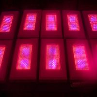 led grow light 600W