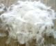 https://www.tradekey.com/product_view/2-4cm-Washed-White-Duck-Feather-1614465.html
