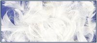 2-4Cm Washed White Goose Feather