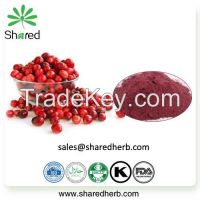 Billberry extract/Lingonberry
