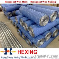 Hexagonal Wire Mesh