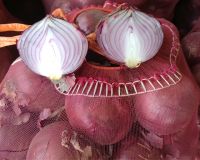 Natural Fresh Red Onions for Sale at Low Market Price