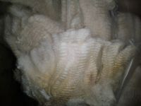 wool fleece