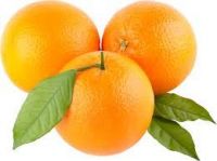 selling fresh fruit oranges