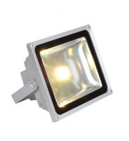 30W LED Flood Light