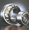 auto bearings