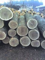 oak, oak log