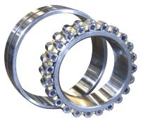 Cylindrical Roller Bearings (FAG NJ418-M1)