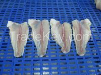 Pangasius fillet untrimmed