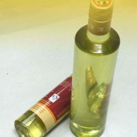 Refined Camellia Oil