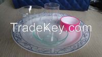 disposable tableware plate