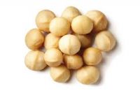 macadamia nuts