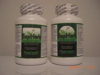 SupHerb Mens/Womens Mulit Vitamin