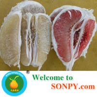 Guanxi Pomelo