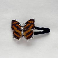 Real Butterfly Hair Clips