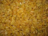 INDIAN GOLDEN RAISINS